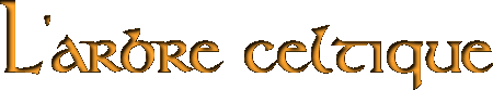 L'arbre celtique