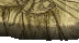 Vers le site